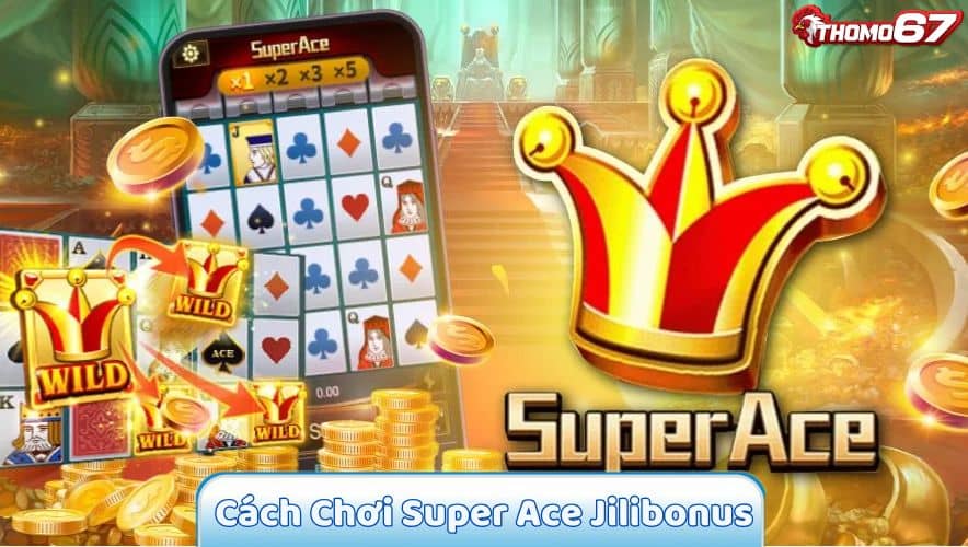 Cách Chơi Super Ace Jilibonus tại Thomo67 Chi Tiết