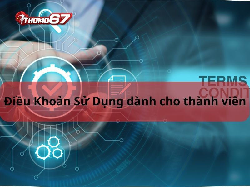 Điều Khoản Và Điều Kiện Thomo67 Áp Dụng Cho Thành Viên