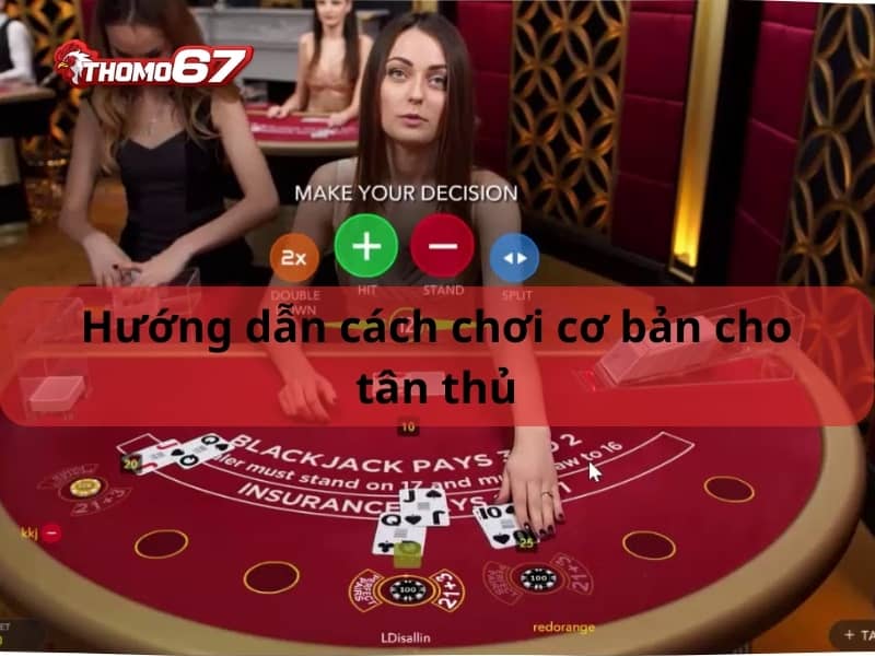 Hướng Dẫn Chơi Xì Dách Online chi tiết từ A-Z