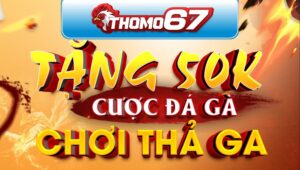 Nhà Cái Thomo67 Khuyến Mãi Thành Viên Mới 50k Miễn Phí