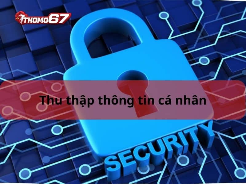 Thông tin được thu thập