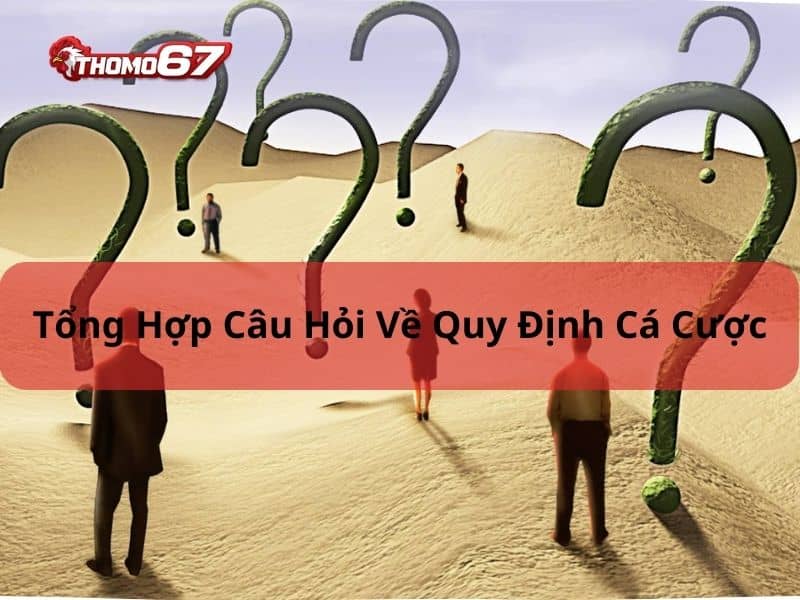 Câu hỏi thường gặp thomo67 về quy định cá cược