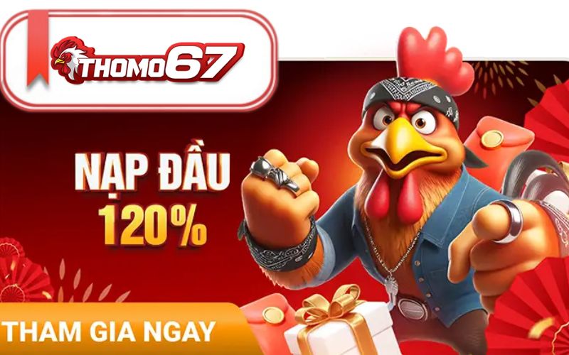 Thomo67 Khuyến Mãi Đá Gà Thưởng Lên Đến 888.000 VNĐ