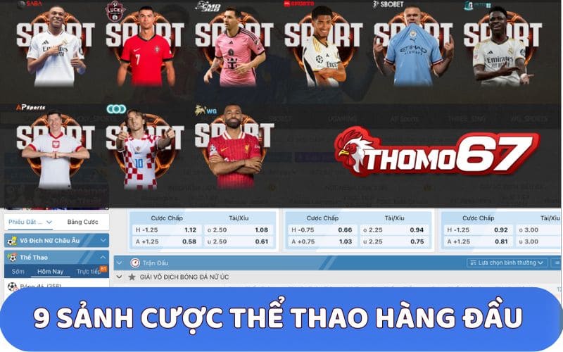 Thomo67 hợp tác cùng 9 nhà cung cấp thể thao uy tín