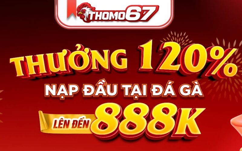 Thomo67 khuyến mãi đá gà khủng chào mừng tân binh mới