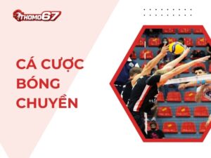 Hướng Dẫn Cá Cược Bóng Chuyền Tại Thomo67 Dành Cho Người Mới