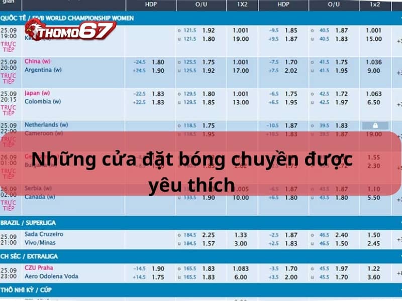 Những kèo cược bóng chuyền phổ bến tại thomo67