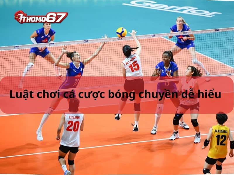 Luật chơi cá cược bóng chuyền cơ bản tại thomo67